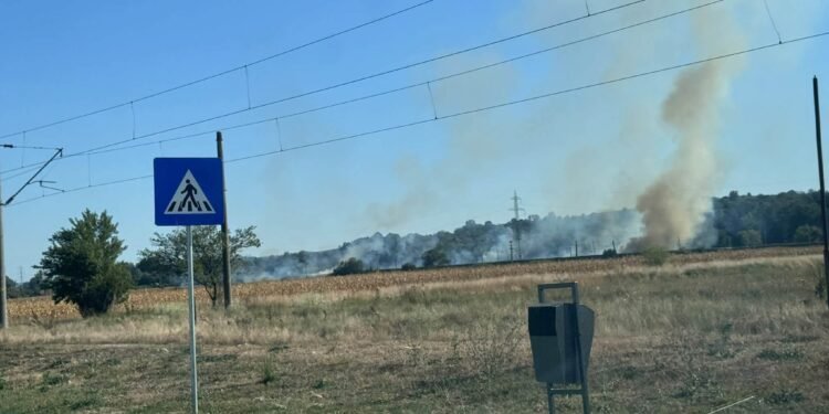 Incendiu ACUM la Motru, nu departe de zona locuită