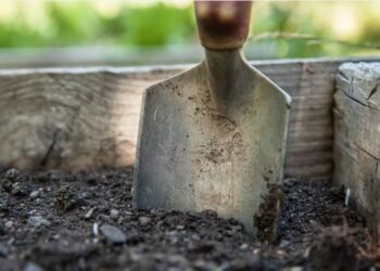 Angajează muncitori în cariere miniere, pe salariul minim