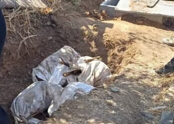 Polițiștii au descins în cimitir. Ce au găsit în sacii de sub criptă!
