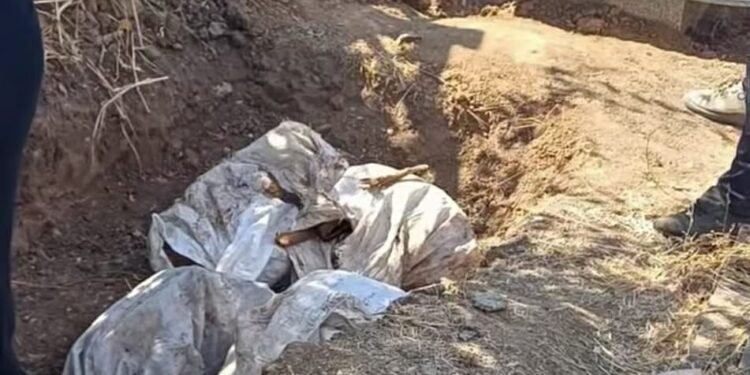Polițiștii au descins în cimitir. Ce au găsit în sacii de sub criptă!