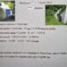 Apreciați după pensionare. Mineri cu pensii de 2-3 mii de euro!