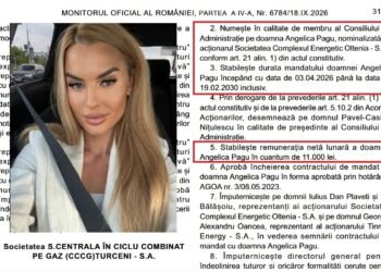 Sinecură de la Complexul Energetic Oltenia pentru Angelica Pagu