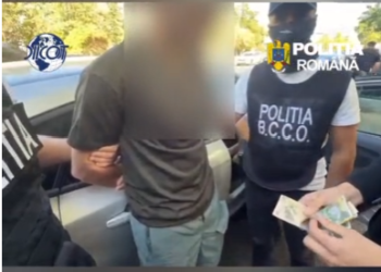 Canabis vândut la evenimente private. Doi barmani de 24 de ani, reținuți de DIICOT Gorj