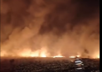 Incendiu în zona Magnolia din Pielești! Pompierii luptă cu flăcările pe aproximativ 5 hectare