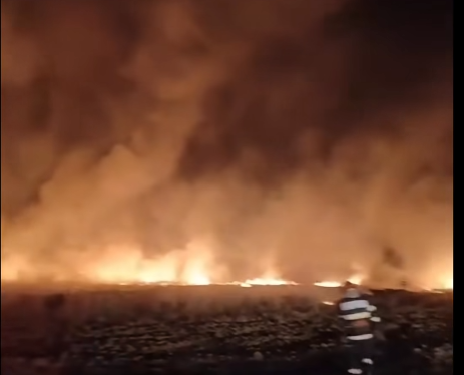 Incendiu în zona Magnolia din Pielești! Pompierii luptă cu flăcările pe aproximativ 5 hectare