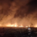 Incendiu în zona Magnolia din Pielești! Pompierii luptă cu flăcările pe aproximativ 5 hectare