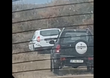 Mister în Gorj! Urs găsit mort pe un fond privat de vânătoare, lângă o țintă găurită și o cutie de cartușe goală. Suspiciuni de braconaj