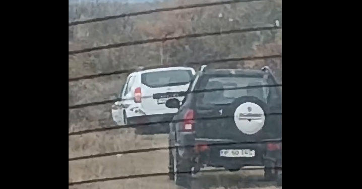 Mister în Gorj! Urs găsit mort pe un fond privat de vânătoare, lângă o țintă găurită și o cutie de cartușe goală. Suspiciuni de braconaj