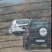 Mister în Gorj! Urs găsit mort pe un fond privat de vânătoare, lângă o țintă găurită și o cutie de cartușe goală. Suspiciuni de braconaj