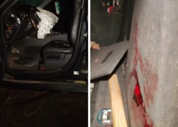 Mașină ajunsă într-un canal, doi tineri la spital și un ogar mort! Poliția anchetează un posibil caz de braconaj în Dolj