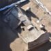 Descoperiri vechi de aproape 2.000 de ani în Dolj! Morminte romane cu sarcofag special, monede și vase funerare, scoase la lumină
