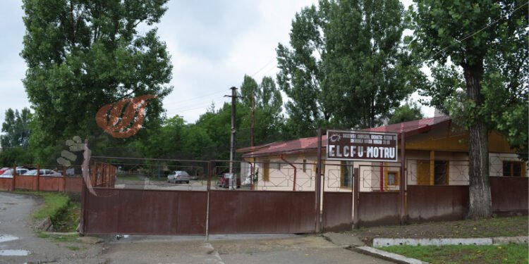Bunurile ELCFU Motru, scoase la vânzare