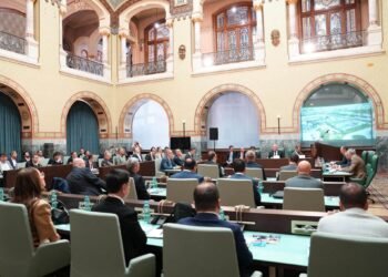 Olguța Vasilescu vrea mai mulți investitori turci la Craiova. Peste 36 de companii din Turcia, chemate să descopere oportunitățile orașului
