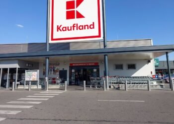 ALERTĂ la Kaufland! Magazin închis după ce inspectorii ANPC au găsit fecale de șobolan. 2,2 tone de produse, distruse