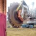 Doliu în mineritul din Gorj. A murit Petre Ciotîrcă, fost maistru la Cariera Roșia