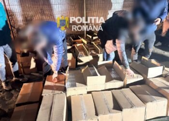 Percheziții într-o comună din Dolj! Un bărbat a fost reținut