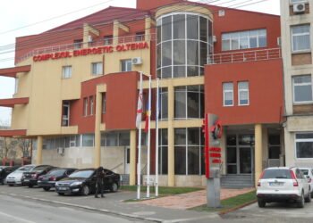 CEO scoate la vânzare 8 mașini, două autobuze și o remorcă! Licitație cu strigare la Târgu Jiu