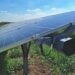 Angajări în energie, la Târgu Jiu! Salarii de 8.500 de lei net pentru șefii de șantier și 7.000 de lei pentru operatorii de utilaje