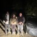 Trei craioveni, pierduți în pădure la lăsarea nopții. Au sunat la 112 după ce nu au mai găsit drumul